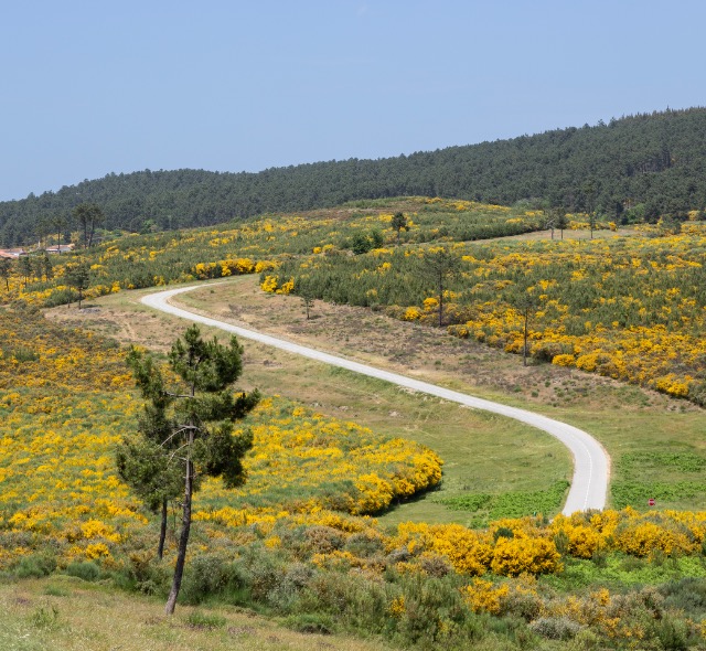Types of Journeys in Portugal